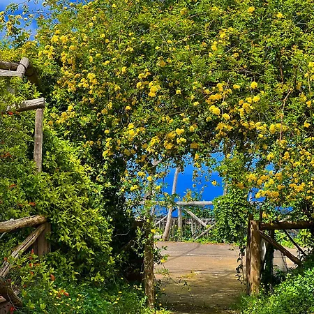 Alloggio per agriturismo Agriturismo Le Grottelle