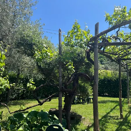 Agriturismo Le Grottelle Bauernhof