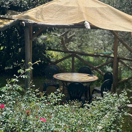 Agriturismo Le Grottelle Alloggio per agriturismo *